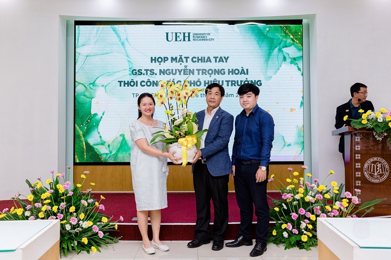 cá cược thể thao hul city